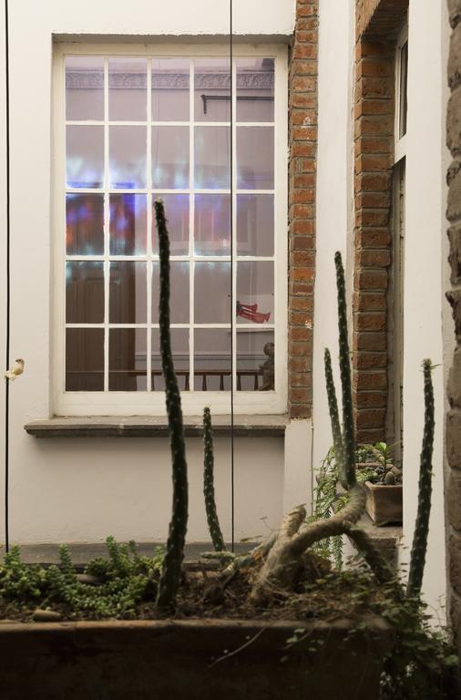 El Patio 77 B&B Mexico City Exteriör bild