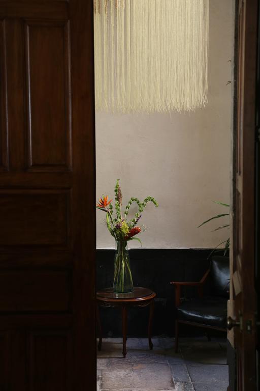 El Patio 77 B&B Mexico City Exteriör bild