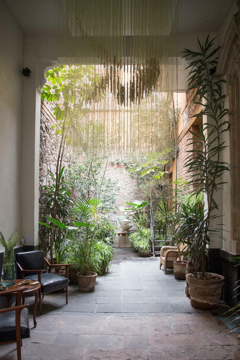 El Patio 77 B&B Mexico City Exteriör bild